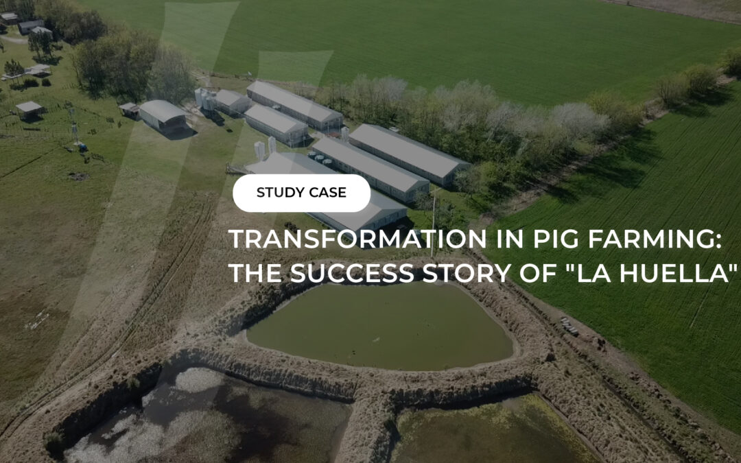 Transformation in Pig Farming: The Success Story of “La Huella”