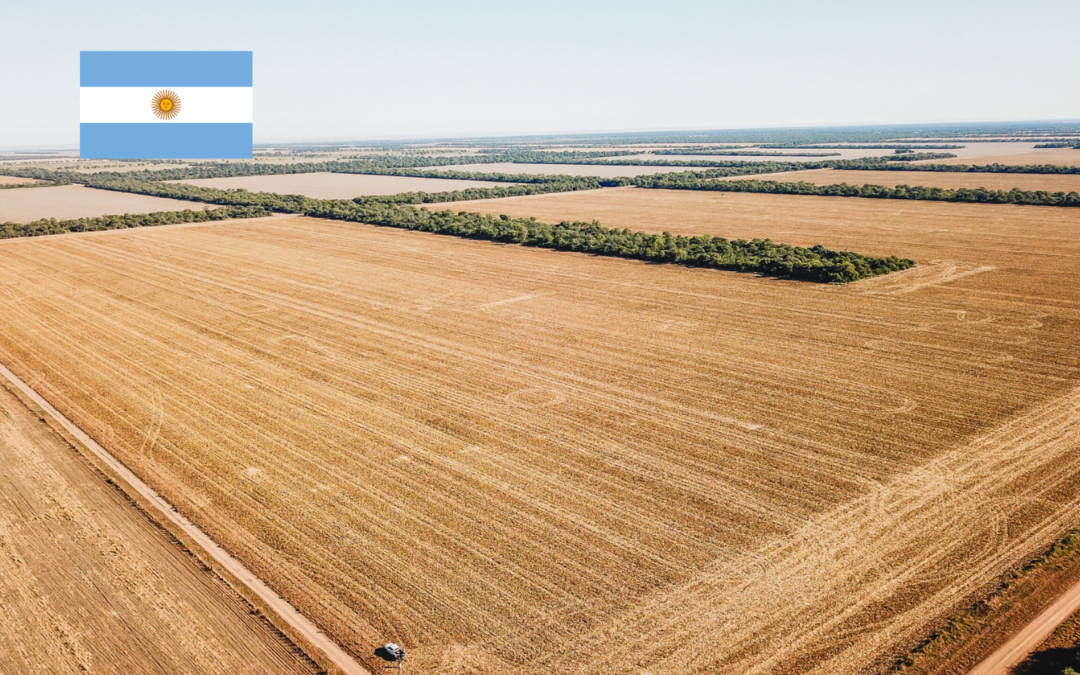 Agricultural Field in Sachayoj – 3500ha