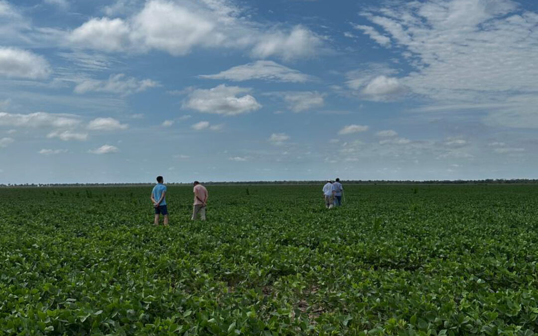 Maximize Your Rural Property Value with a Professional Appraisal